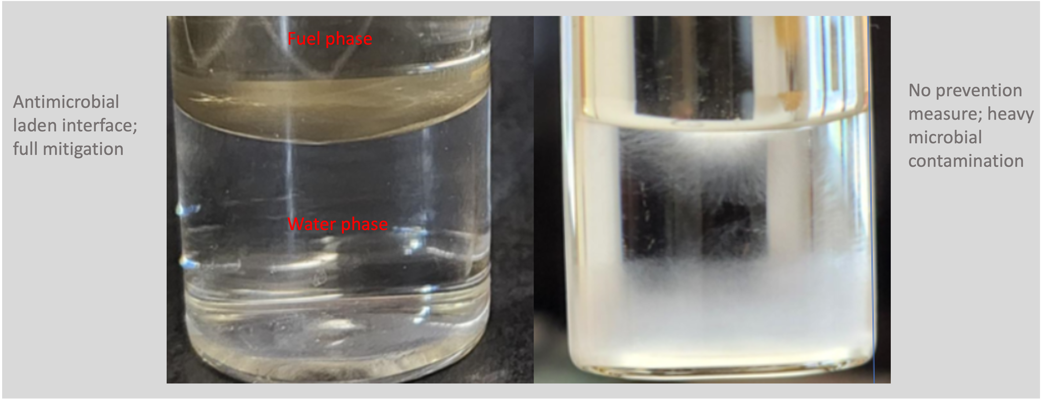 Untreated tank with heavy microbial contamination compared with a Locacide-protected fuel-water interface